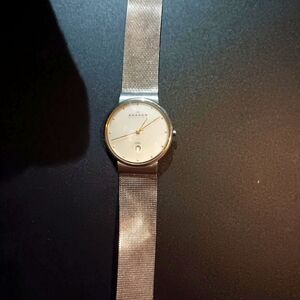 Skagen Silver Mesh Strap Watch